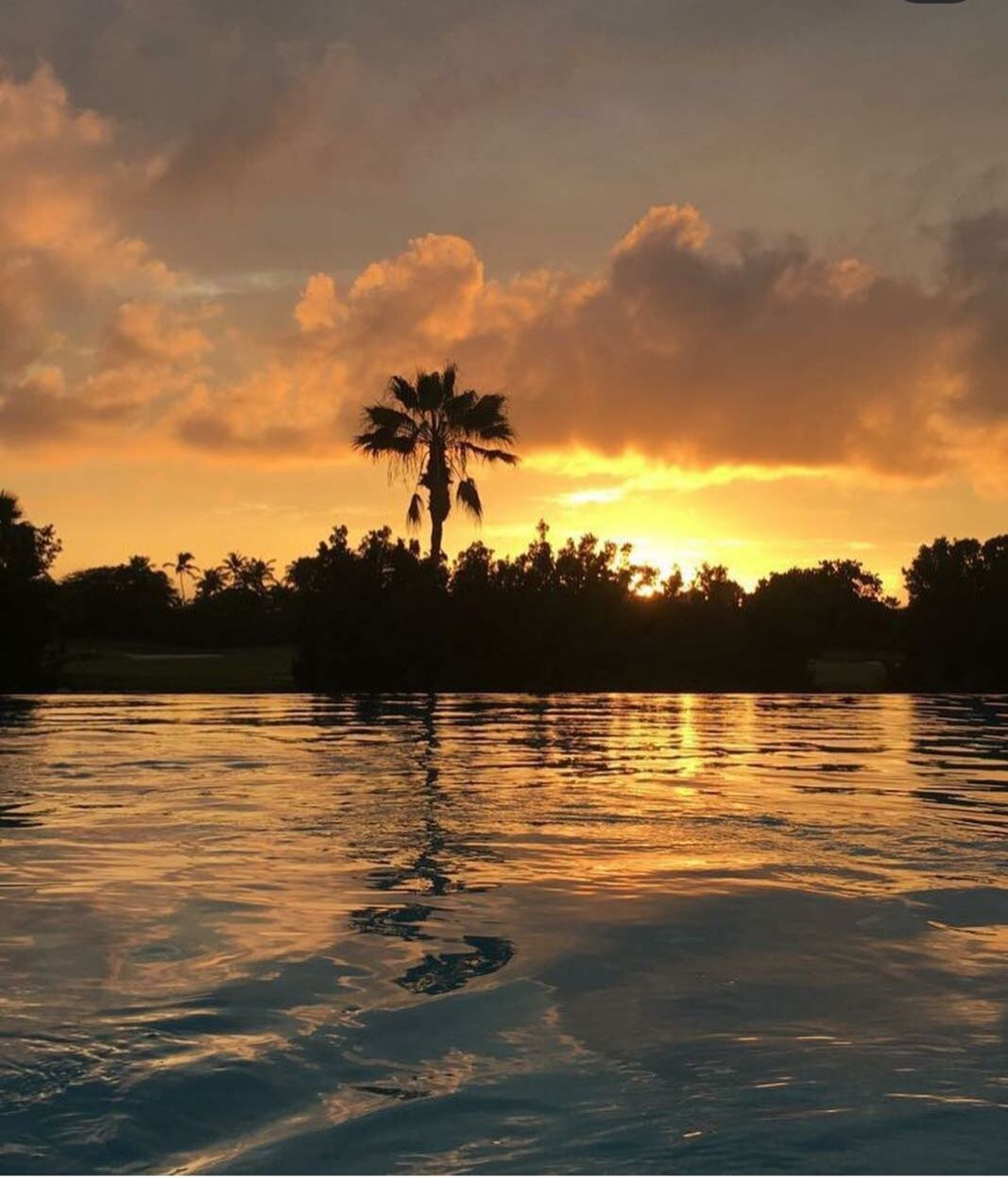 Paradise